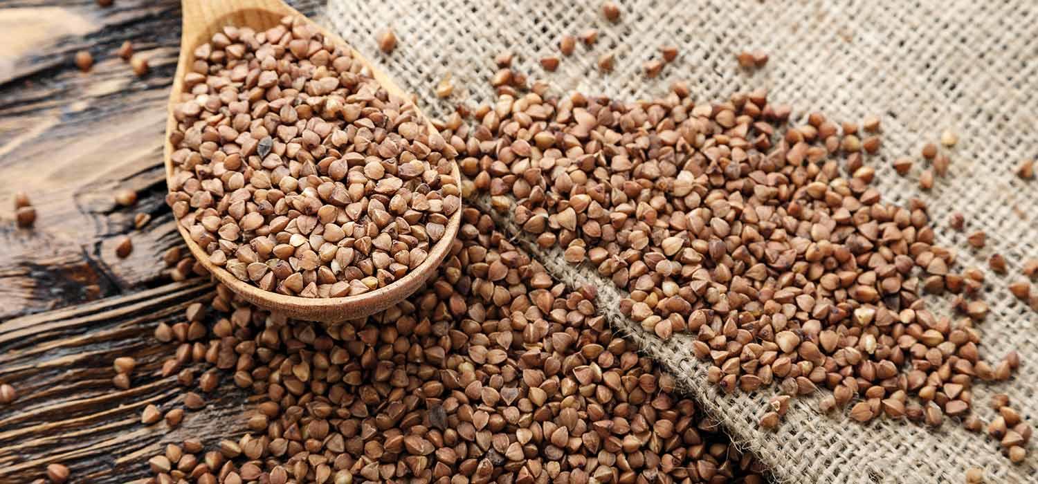 Maggi Kochratgeber Header Alles über Buchweizen 