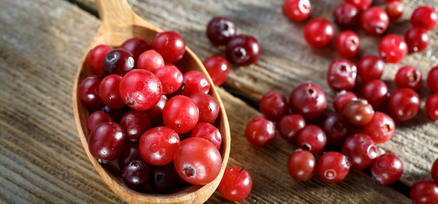 Maggi Kochratgeber Johannisbeere