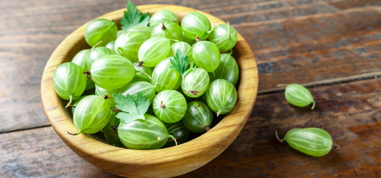 Maggi Kochratgeber Stachelbeeren