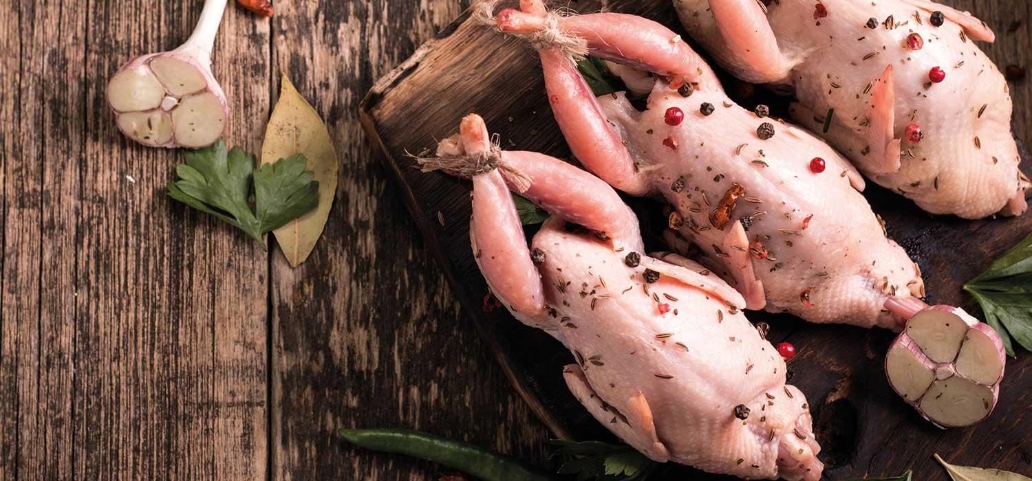 Maggi Kochratgeber Header Wachtel