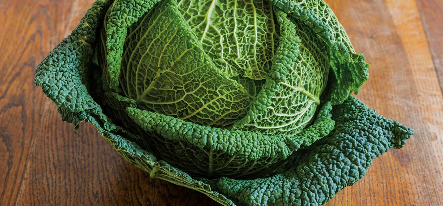 Maggi Kochratgeber Header Wirsing