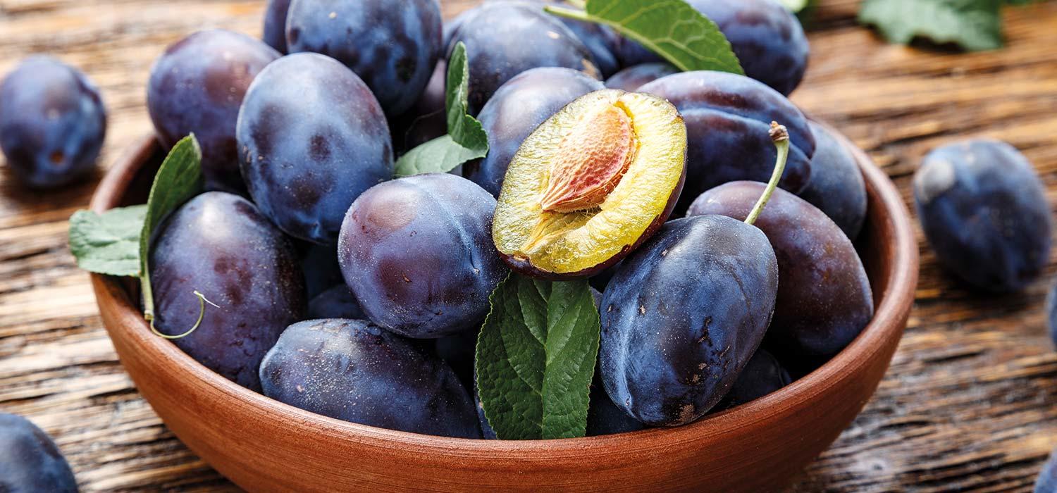 Maggi Kochratgeber Header Zwetschge