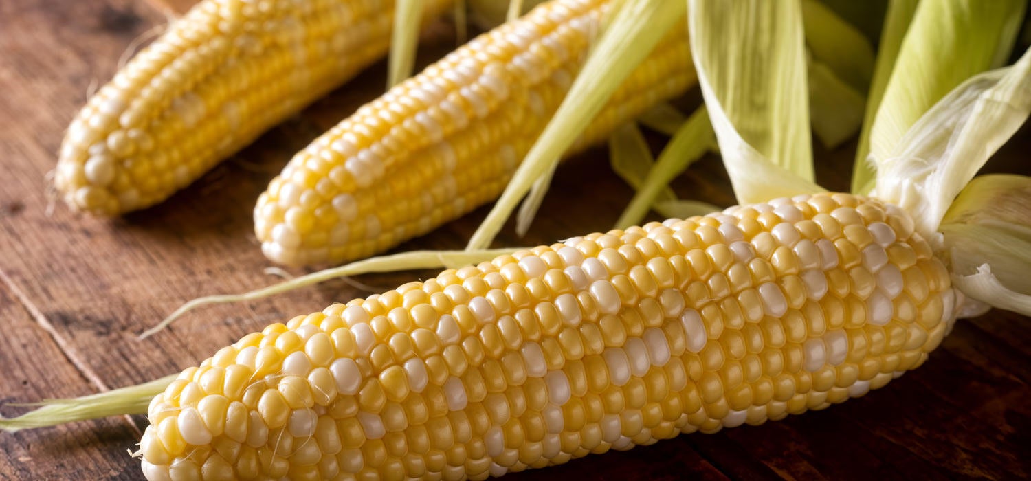 Maggi Kochratgeber Frischer Mais
