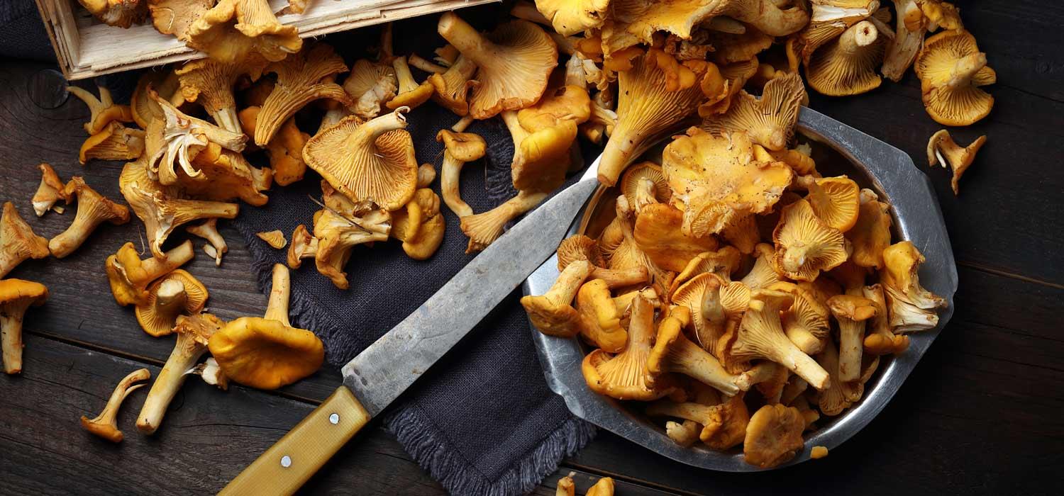 Maggi Kochratgeber Pfifferlinge