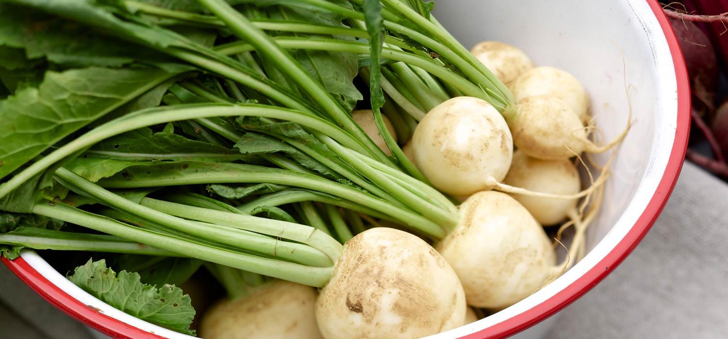 Maggi Kochratgeber Speiserübe