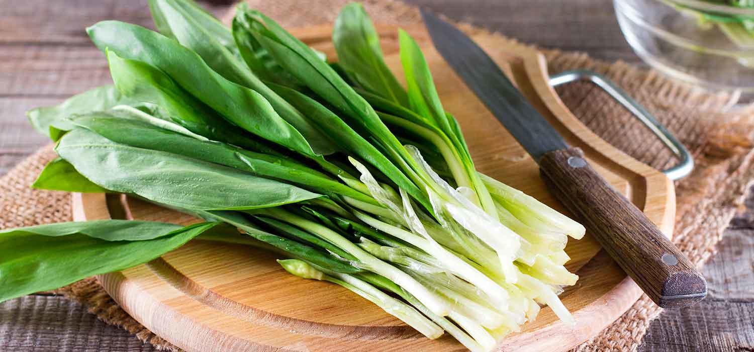 Maggi Header Kochratgeber Bärlauch