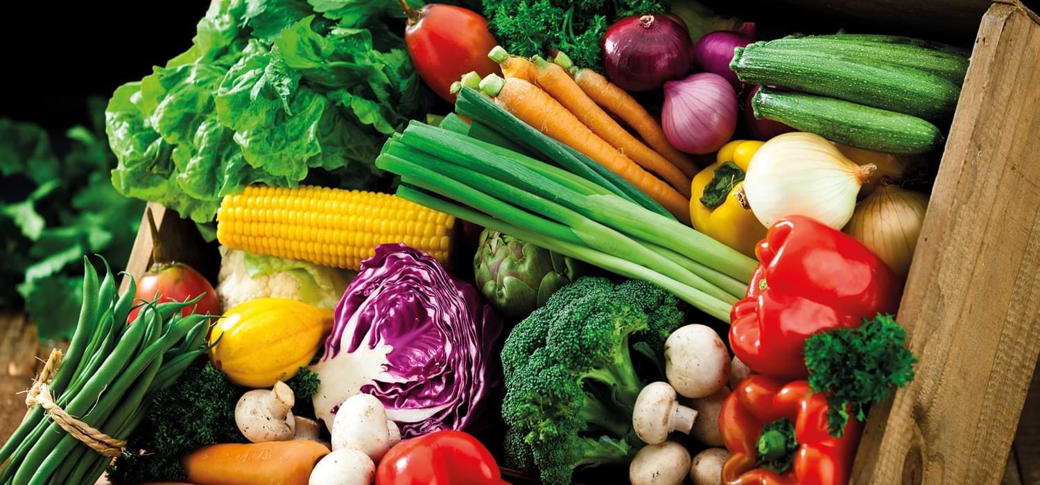 maggi-saisonkalender