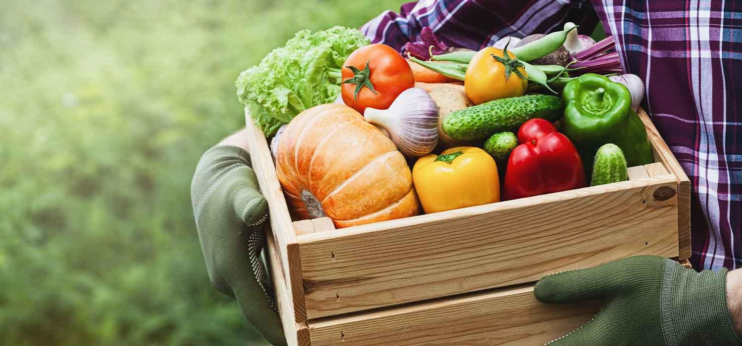 maggi-category-saison-header