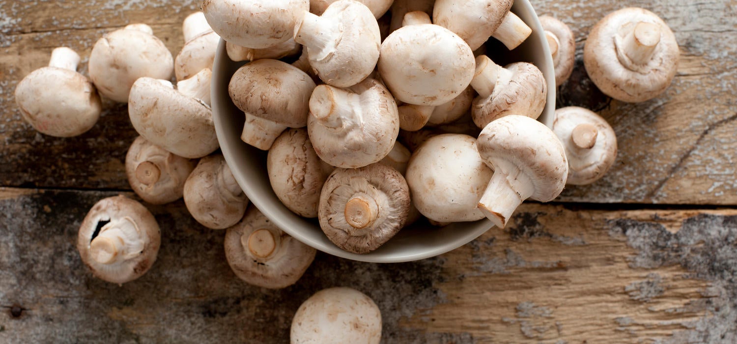 Champignons Kochratgeber