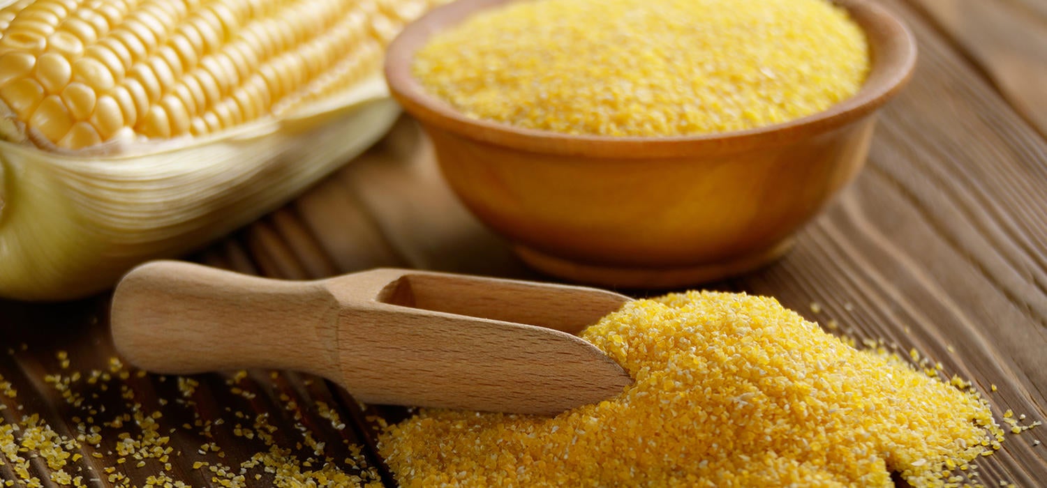 Polenta Kochratgeber