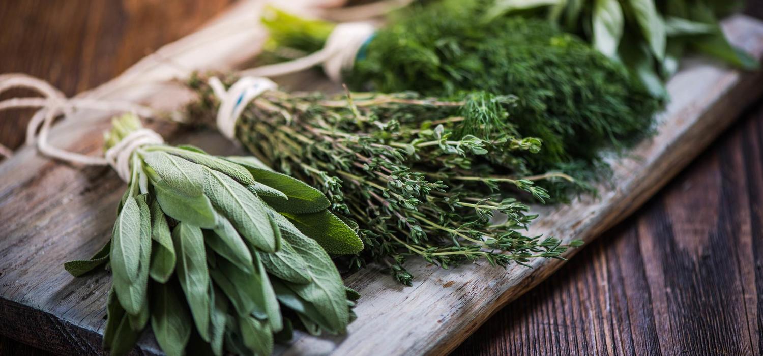 Küchenkräuter Header