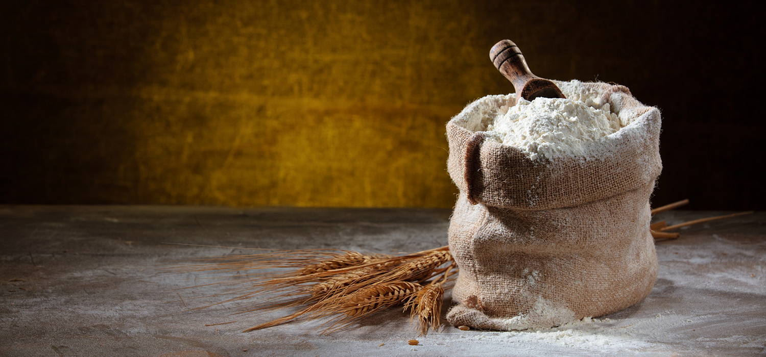 Header_Panieren-leicht-gemacht