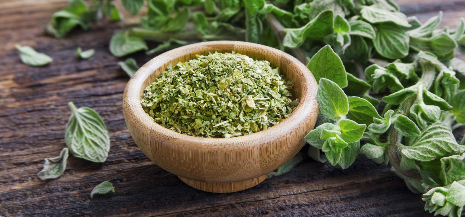 Oregano
