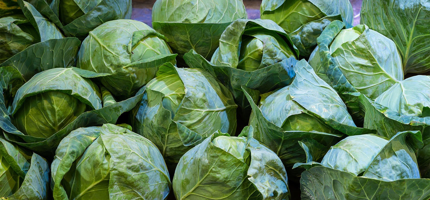 Spitzkohl zubereiten