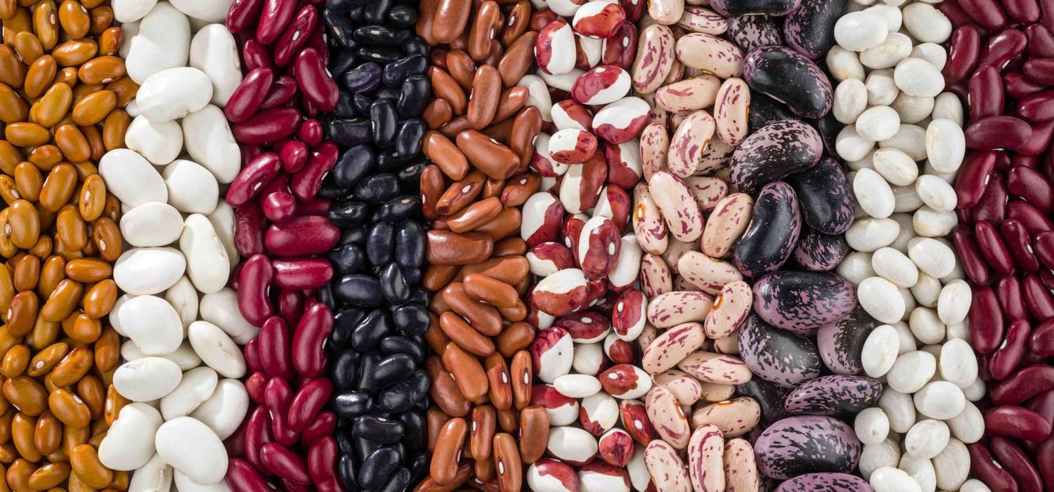 Bohnen