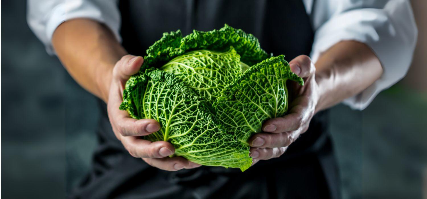 Wirsing Header Image