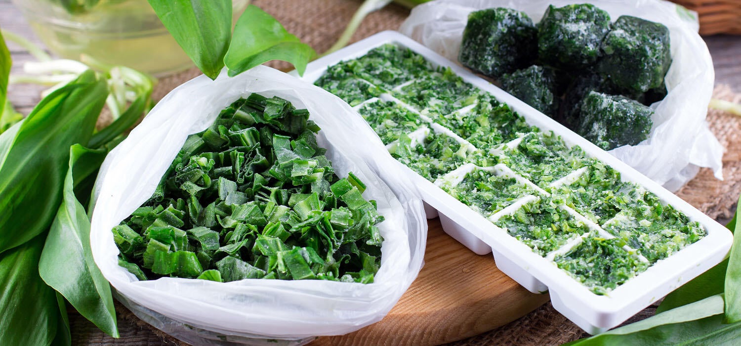 Eingefrohrener Bärlauch