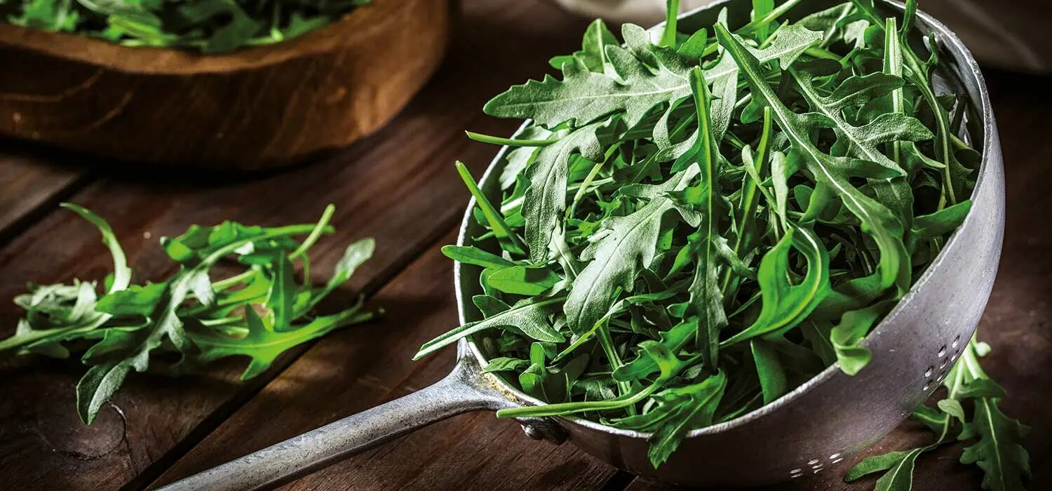 Rucola - Inhaltsstoffe und Zubereitung | maggi.de