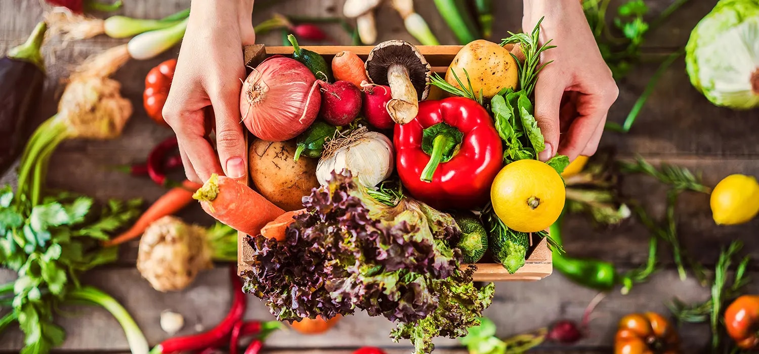 Hände halten Holzkiste mit frischem Gemüse wie Paprika, Karotten, Salat, Zwiebeln und Zitrone