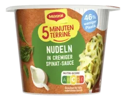 MAGGI 5 Minuten Terrine Nudeln in Spinat-Rahmsauce