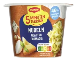 MAGGI 5 Minuten Terrine Nudeln Quattro Formaggi