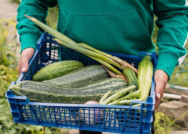 Maggi Magazin Zucchinirezepte