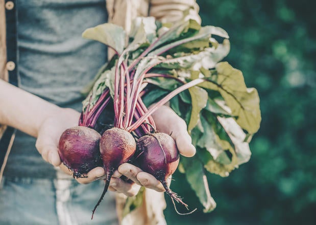 Maggi Rote Bete Rezepte 