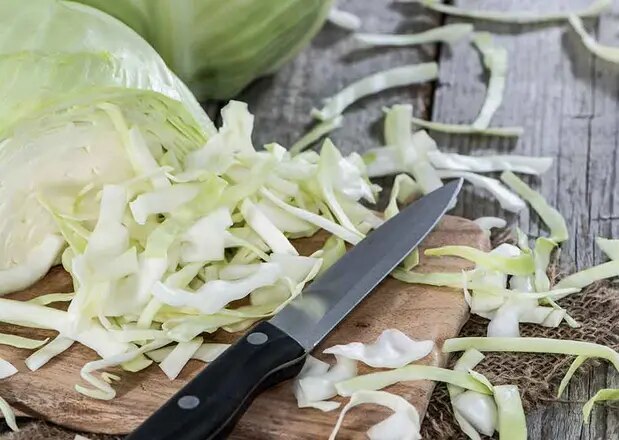 Header_Weißkohl