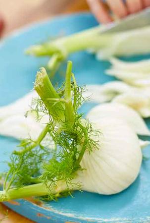 Fenchel
