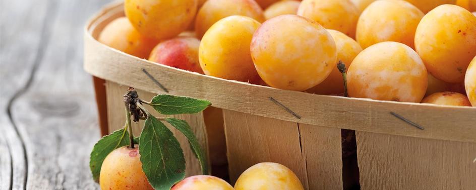 maggi kochratgeber mirabellen