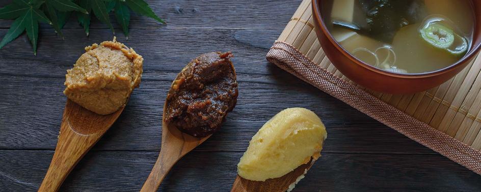 maggi kochratgeber miso