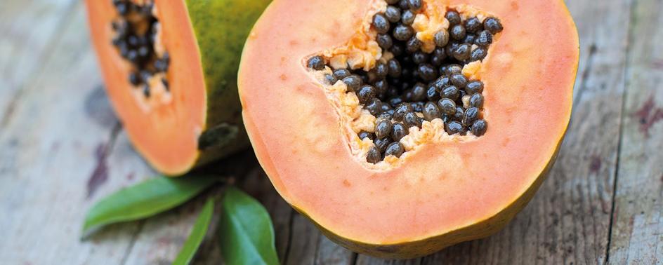 maggi kochratgeber papaya