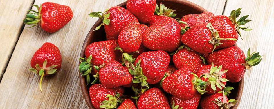 maggi kochratgeber erdbeeren