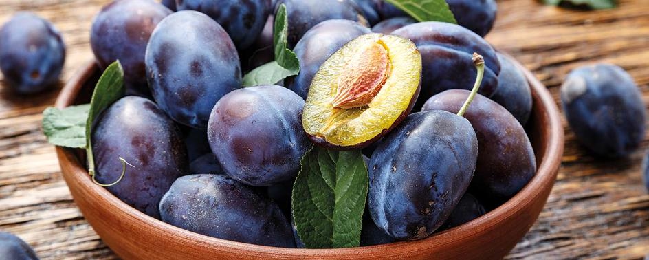 Maggi Kochratgeber Header Zwetschge