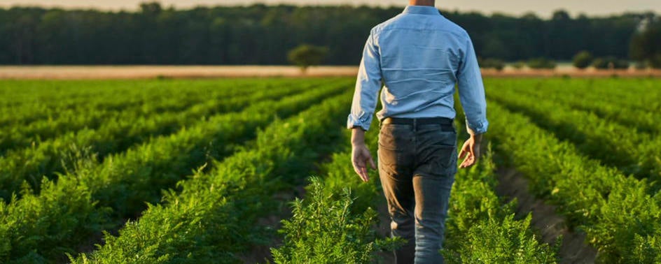 NachhaltigkeitsBanner