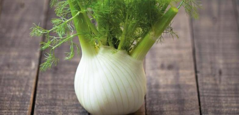 Fenchel