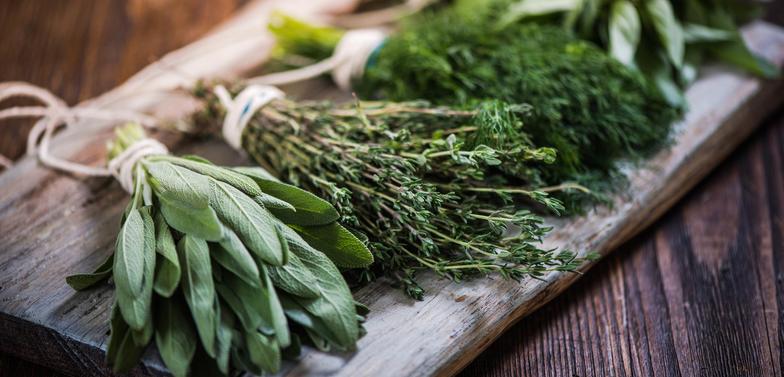 Küchenkräuter Header