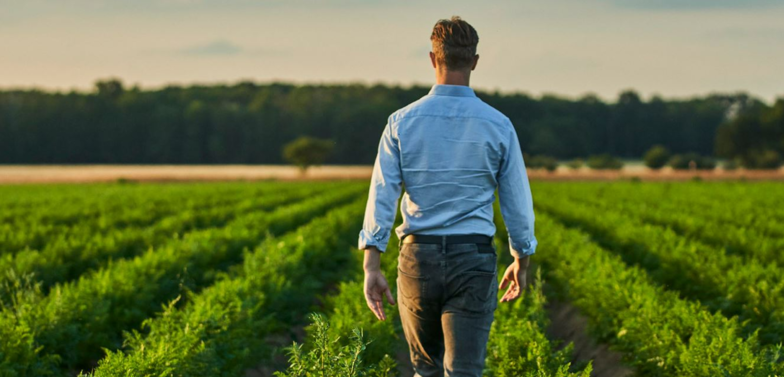 NachhaltigkeitsTeaser