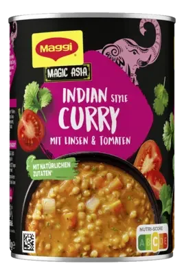 MAGGI Magic Asia Indian Style Curry