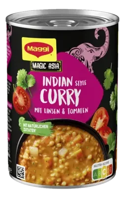 MAGGI Magic Asia Indian Style Curry