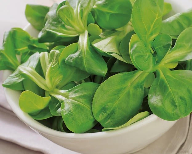 Gewaschener Feldsalat in einer Schüssel