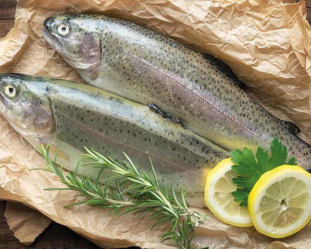 zwei Forellen mit Zitronenscheibe auf Holztisch