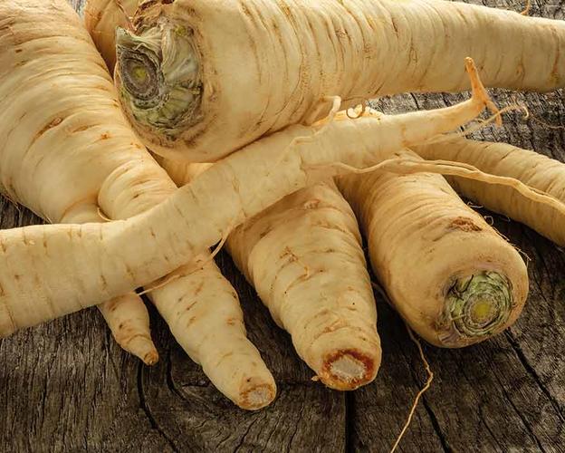 maggi-kochratgeber-petersilienwurzel