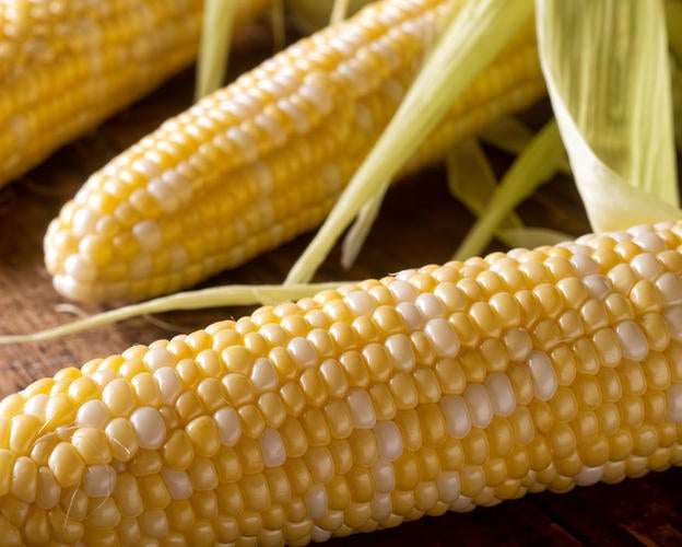 Maggi Kochratgeber Frischer Mais