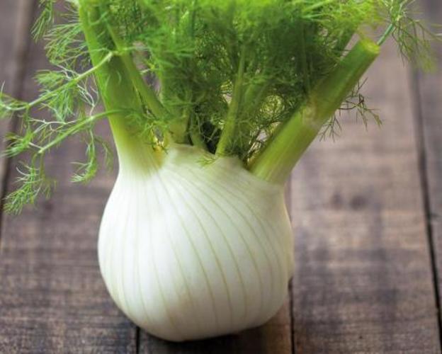 Fenchel