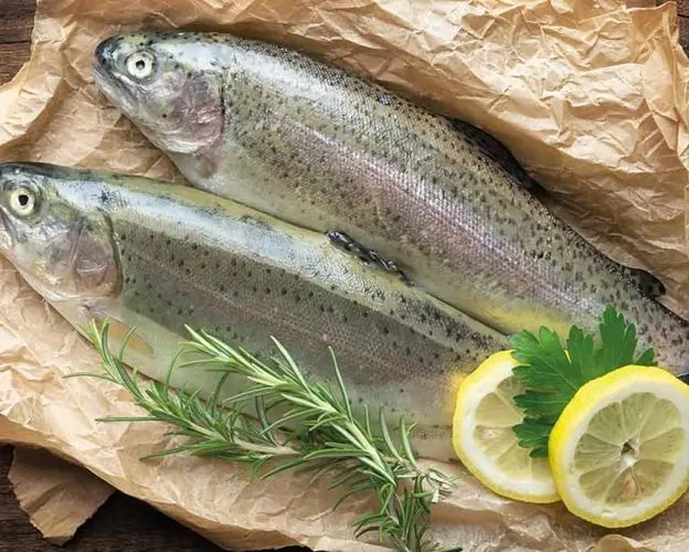 Fisch Teaser