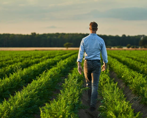 NachhaltigkeitTeaser