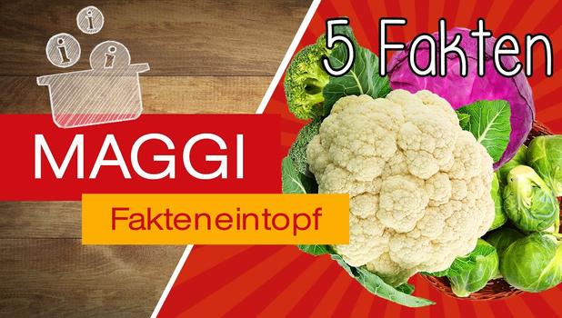 Einkaufstipps für Kohl | MAGGI Fakteneintopf