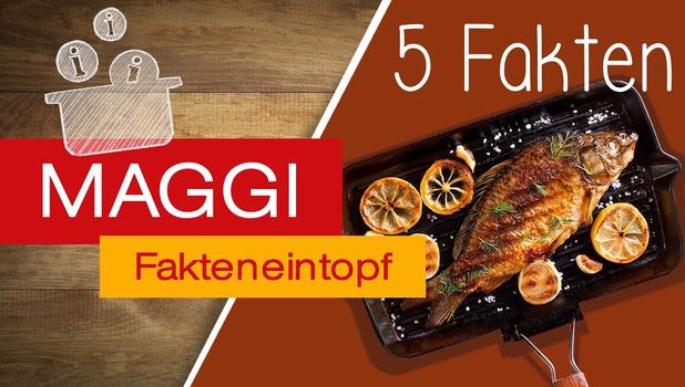 Karpfen Einkaufs- und Zubereitungstipps