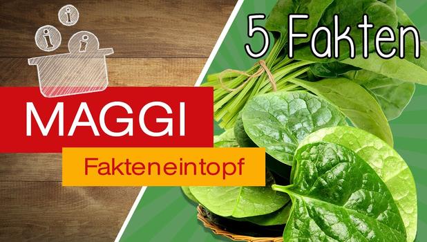 5 Fakten über Spinat